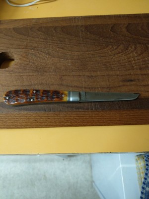 IMAG0748.jpg