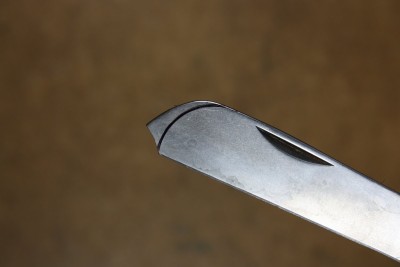 IMG_4478.JPG