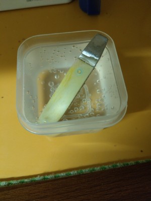 IMAG0743.jpg
