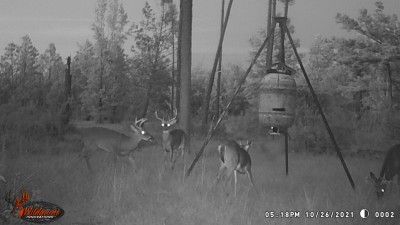 4 bucks