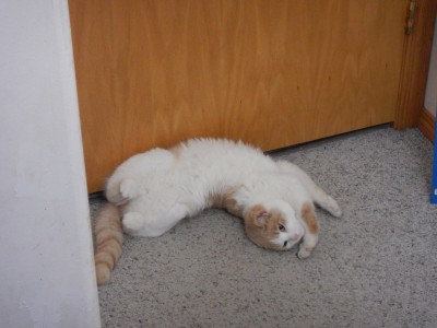 Squeak's in show-off mode...