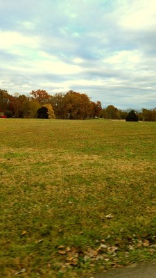 20211112_152138.jpg