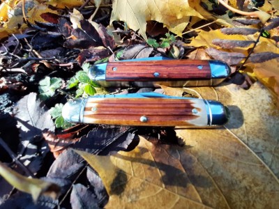 thumbnail_20211117_121458.jpg