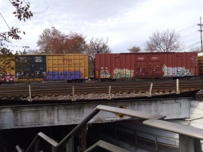 IMG_20211125_090535487.jpg