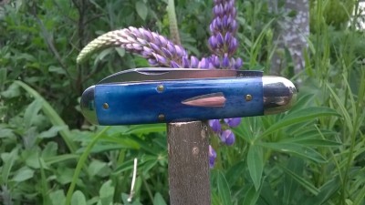 WP_20180517_041.jpg
