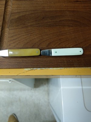 IMAG0782.jpg