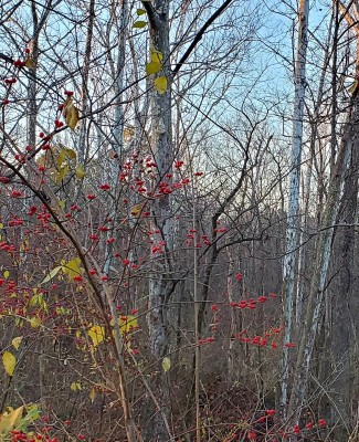 20211208_162137.jpg