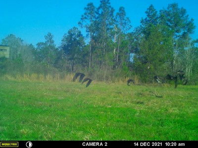MFDC9055.JPG (212.37 KiB) Viewed 1805 times Time to go, find the next meal.