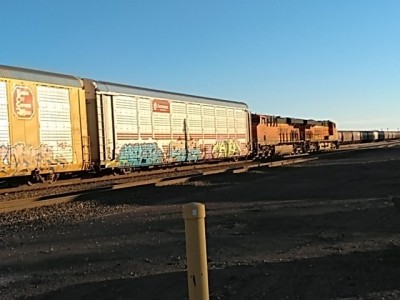 KIMG1825.JPG