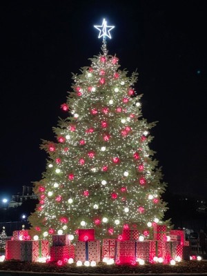 IMG_7926.jpg