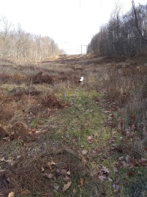 2021-12-23_14-15-15_-_hiking.jpg