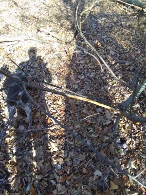 2021-12-23_14-27-41_-_hiking.jpg