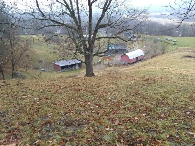IMG_20211227_115035522.jpg