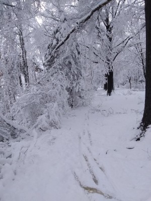 IMG_20220103_133157374.jpg