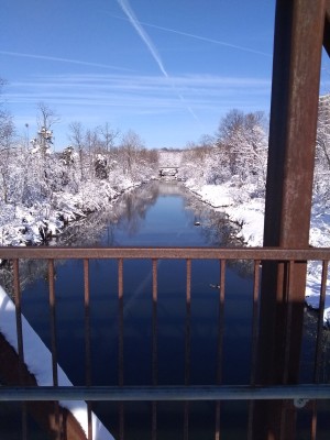2022-01-04_10-37-33_-_cross_country_skiing.jpg