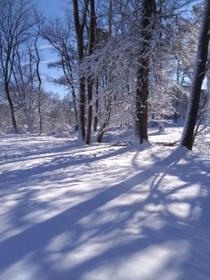 2022-01-04_10-12-47_-_cross_country_skiing.jpg