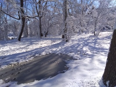 2022-01-04_10-10-38_-_cross_country_skiing.jpg