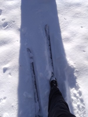2022-01-04_10-10-25_-_cross_country_skiing.jpg