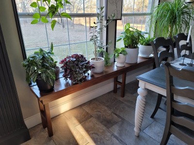 bench 4.jpg