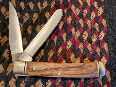 Oak scale trapper r.jpg