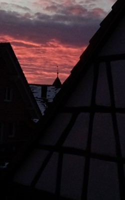 IMG_20220112_080254_042.jpg
