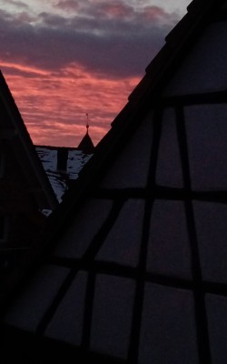 IMG_20220112_080230_924.jpg