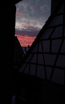 IMG_20220112_080216_155.jpg