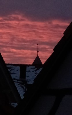 IMG_20220112_080125_416.jpg
