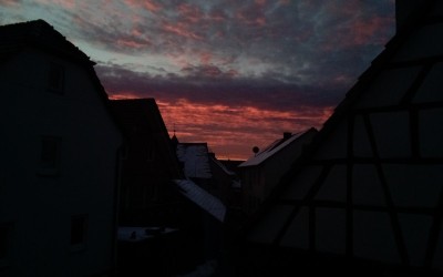 IMG_20220112_080500_935.jpg
