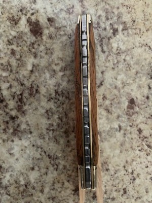 trapper filed back spring.jpg
