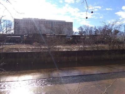 2022-01-17_10-29-33_-_hiking.jpg