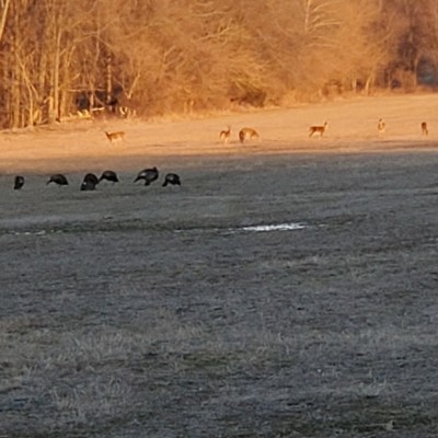 20220120_164639.jpg