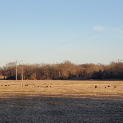 20220120_162319.jpg