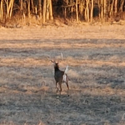 20220120_164713.jpg