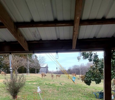 20220127_164916.jpg