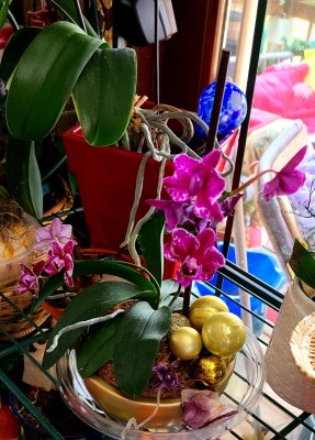 20220128_142503.jpg