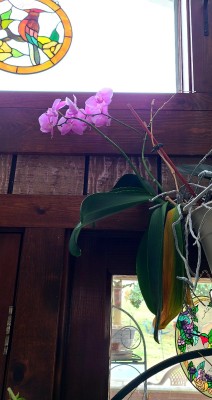 20220128_142437.jpg