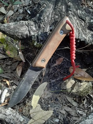 20220131_134152.jpg