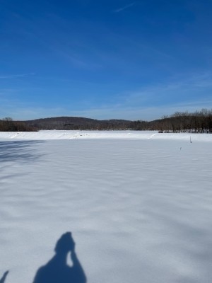 E029A502-472C-4348-8C88-B790D07006B6.jpeg