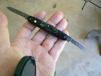 in hand.jpg