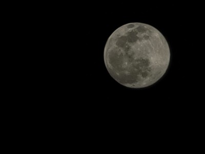 20220215_200803.jpg