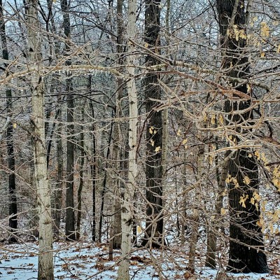 20220224_165059.jpg