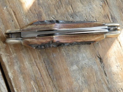 DSCN9389.JPG