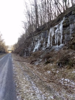 IMG_20220227_090405408_HDR.jpg