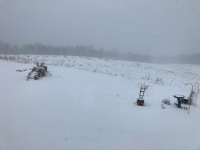 snow.jpg