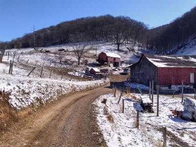 IMG_20220313_104811192_HDR.jpg