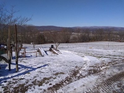 IMG_20220313_104858684.jpg