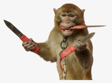 knife monkey.png