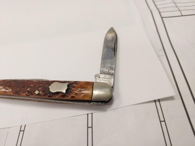 BUD-2.jpg