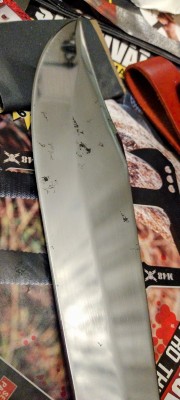 IMG_20220322_031210816~2.jpg